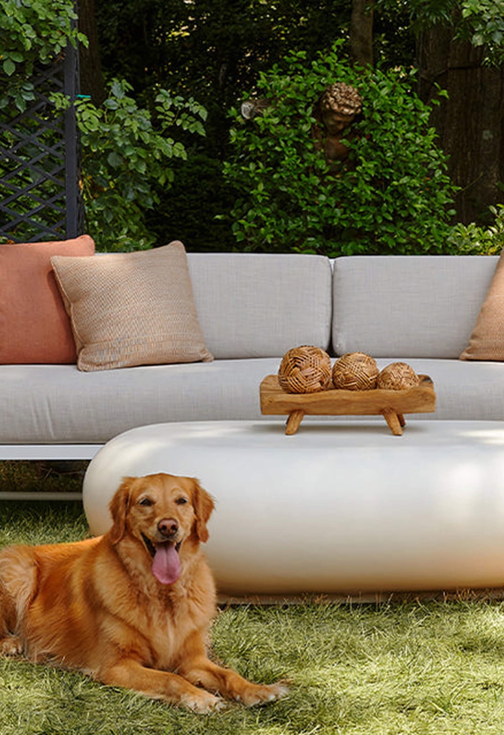 Low outdoor sofa and round ottoman on the lawn, a golden retriever lying in front